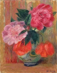 Klaprozen en pioenen